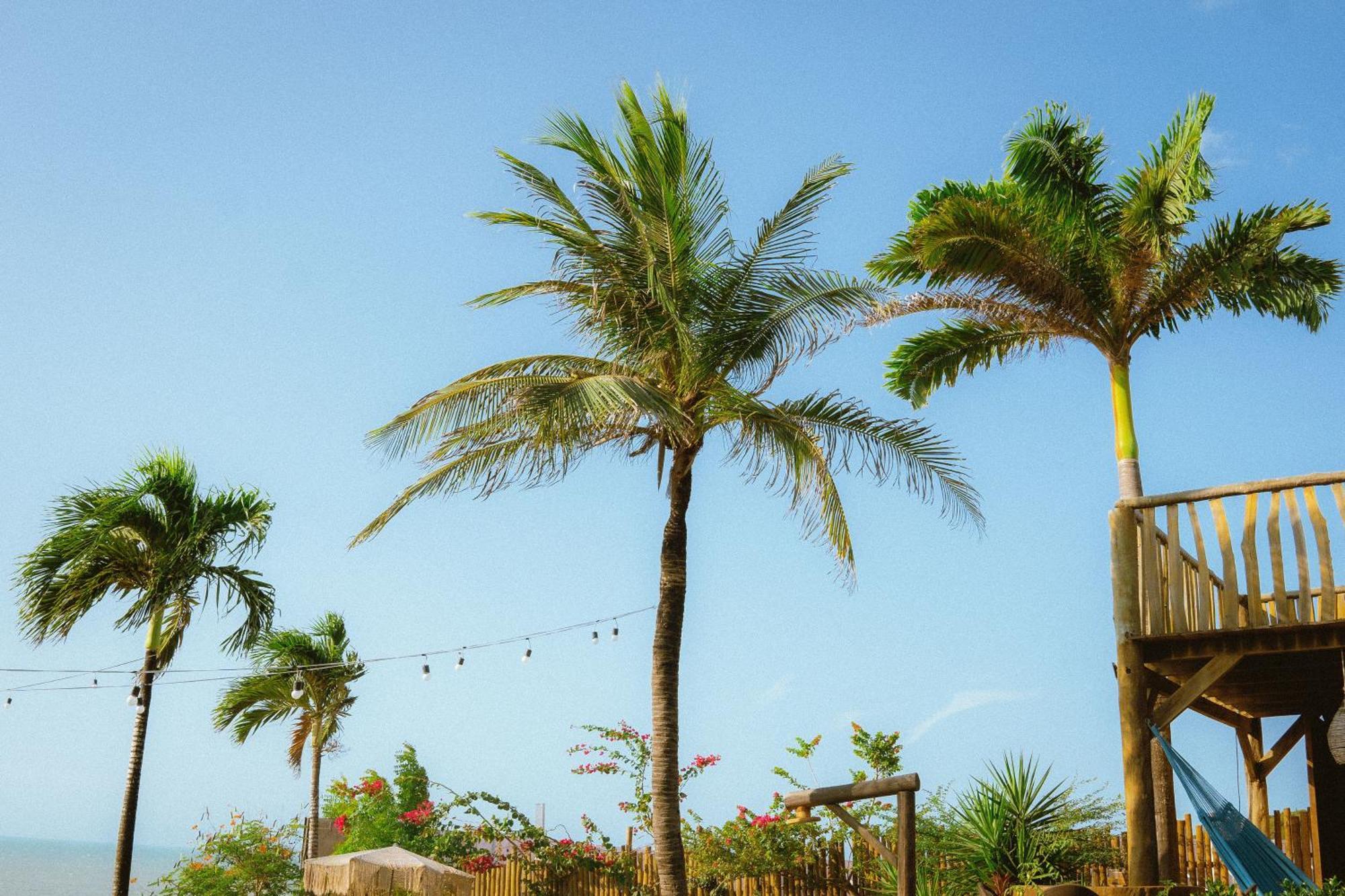 Hurricane Jeri Jijoca de Jericoacoara Dış mekan fotoğraf